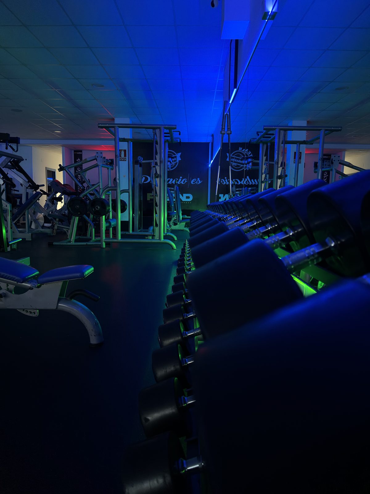 Zona de poleas y mancuernas de Pulsaciones Gym