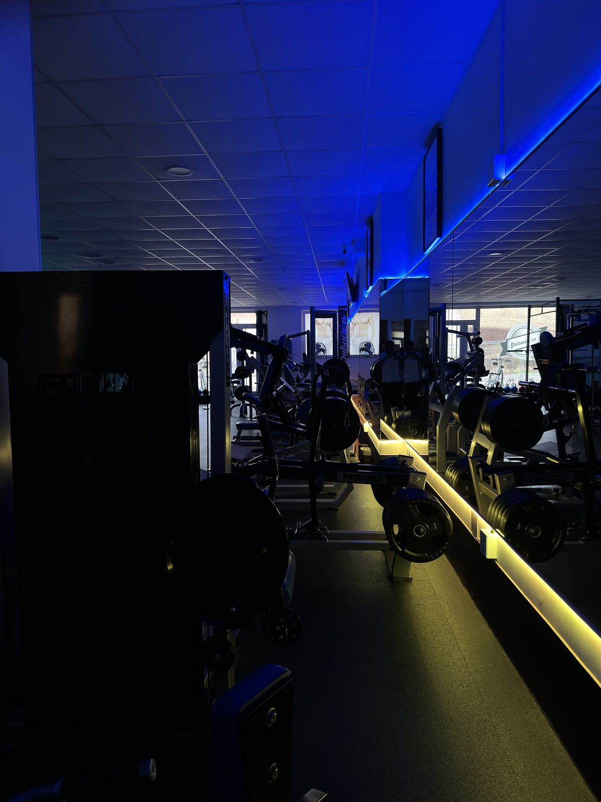 Zona de peso libre de Pulsaciones Gym