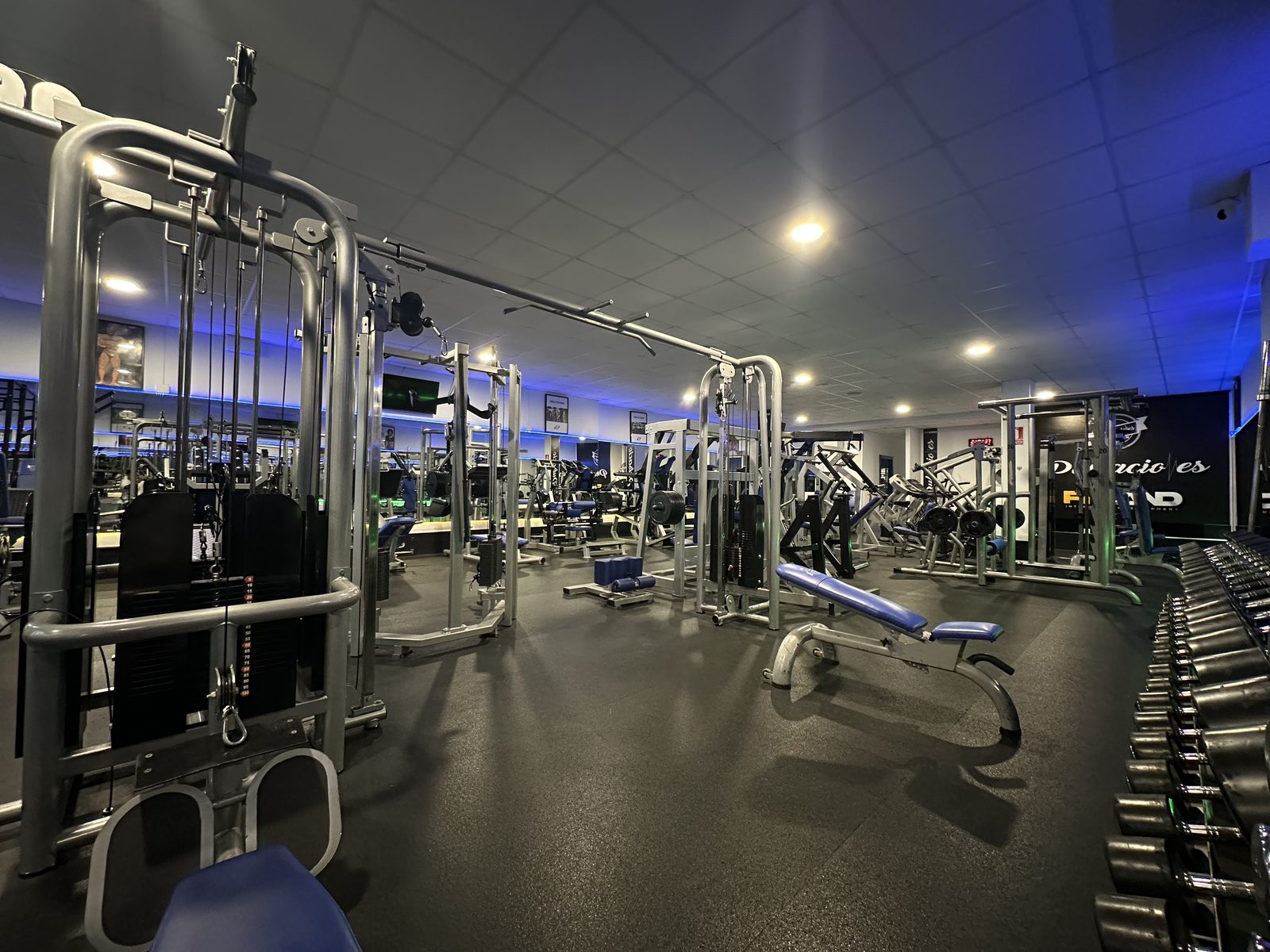 Zona de mancuernas y bancos de Pulsaciones Gym