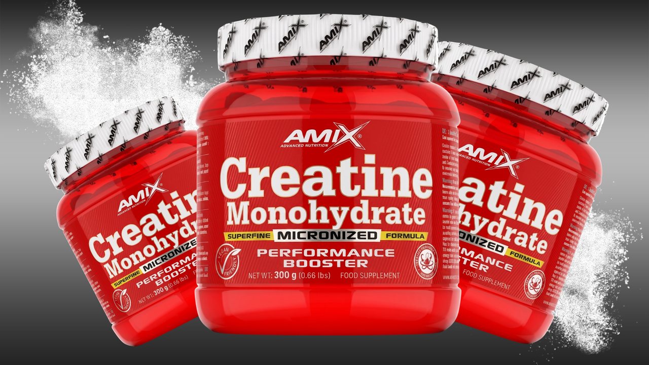 Creatina Monohidrato micronizada Amix